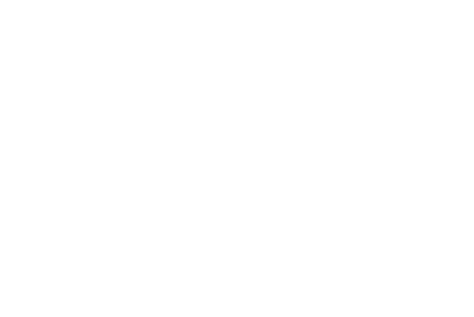 Tata logo